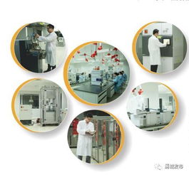 為金發科技研發團隊點贊 亞太第一、全球第二的環?？萍枷蠕h