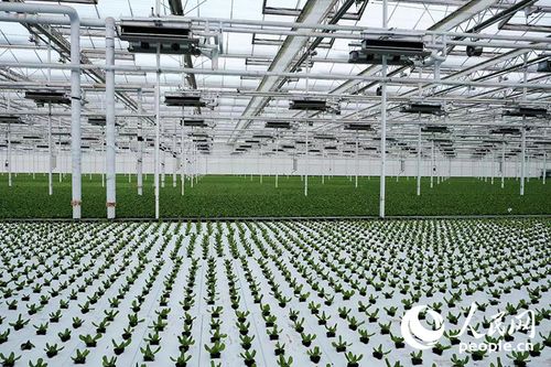 西部大開發(fā)新篇章 以高水平開放引領(lǐng)環(huán)?？萍碱I(lǐng)域的技術(shù)創(chuàng)新