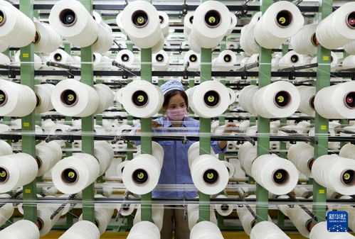 新華全媒 丨河南傳統(tǒng)產(chǎn)業(yè)向“新”而行 以環(huán)?？萍奸_辟轉(zhuǎn)型新賽道